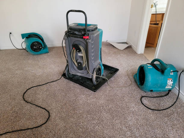 Best Flood damage cleanup  in Enetai, WA