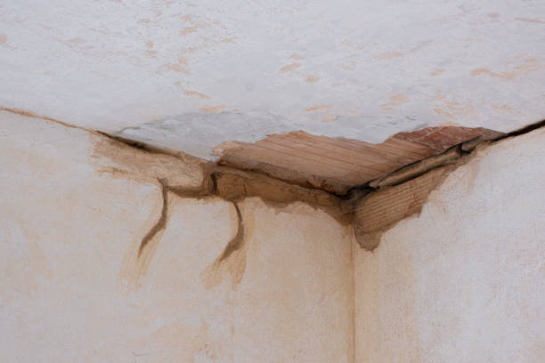Best Sewage cleanup and water damage restoration  in Enetai, WA