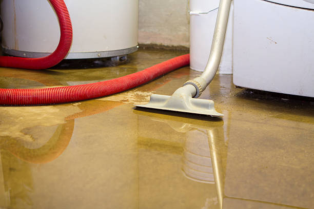 Best Water damage contractors near me  in Enetai, WA