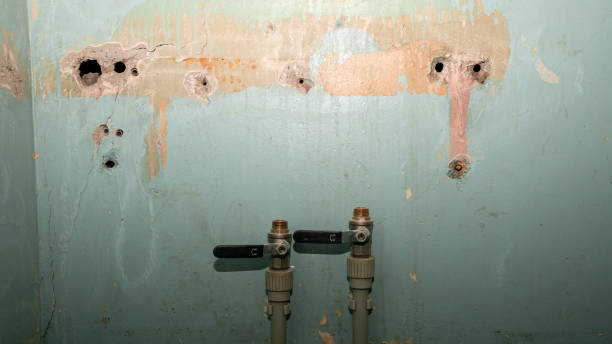 Best Emergency water damage restoration  in Enetai, WA