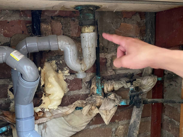 Best Basement water damage restoration  in Enetai, WA