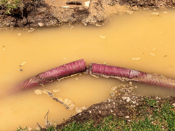 Best 24/7 water damage repair  in Enetai, WA