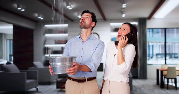 Local water damage restoration in WA