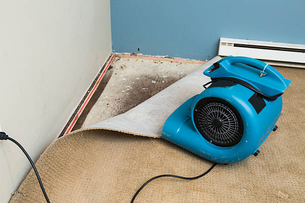Best Water damage restoration insurance claims  in Enetai, WA